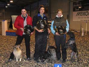 Sieger Gruppe Medium