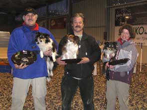 Sieger Gruppe Medium